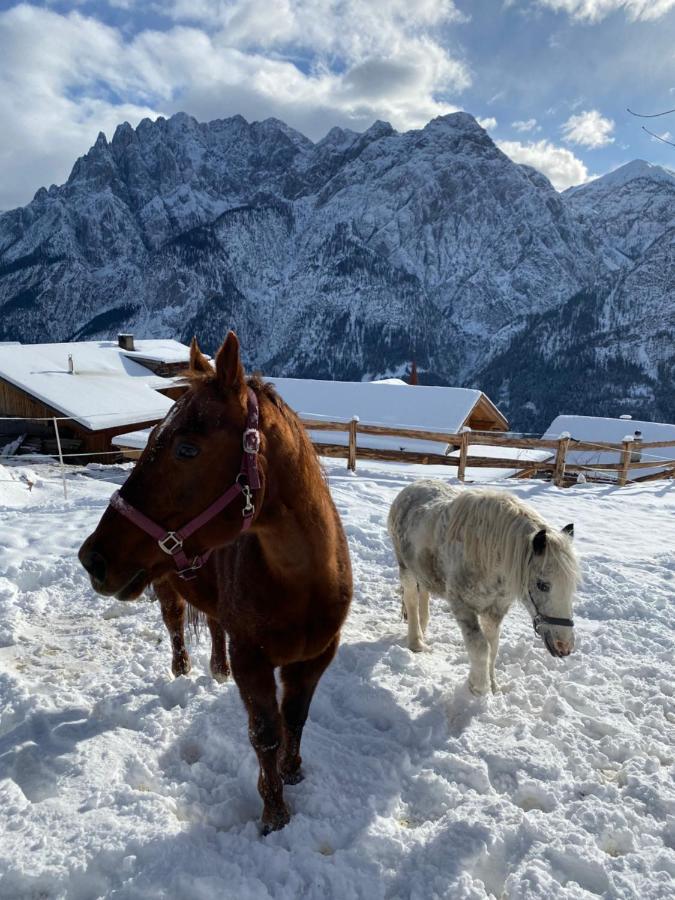 Southern Stables Ranch Bannberg Экстерьер фото